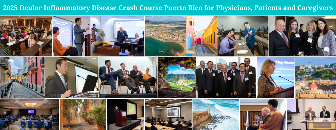 Ocular Inflammatory Disease Crash Course 2025